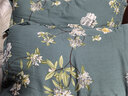 艾薇 A类枕头套纯棉家用全棉单人枕套一对枕芯套 清馨花园 48*74cm 实拍图