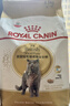 皇家英短成猫粮 BS34 通用粮 12月以上 4.5KG 实拍图