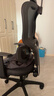 西昊M56二代 人体工学椅办公椅电脑电竞椅子人工力学座椅学习升降椅背 实拍图