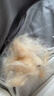 富美内特（FURminator）梳子猫咪去浮毛底绒梳开结梳猫毛梳布偶缅因美毛护毛长毛猫小号 实拍图