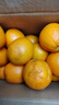 【25年鲜橙】湖北秭归夏橙榨汁橙8甜2酸 带箱5斤大果 实拍图