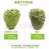 京地达广东林檎大目释迦果净重3斤装单果200g起 新鲜番荔枝源头直发包邮 实拍图