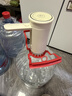 小熊（Bear）桶装水抽水器 饮水机抽水泵神器 水桶取水器 电动上水器矿泉水压水器自动吸水器 YSJ-F06Q1 实拍图