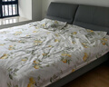 水星家纺四件套床上用品 100%纯棉 全棉印花套件 ins花卉风 被套床单枕套 柠语微澜(纯棉-透气舒爽）床笠式 1.8米床 床单款 （被套220*240cm） 实拍图