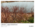 松下（Panasonic）Lumix S5M2 全画幅相机 L卡口 微单相机 无反数码相机 【2060原封套机】+【50mmF1.8白盒】套装 实拍图