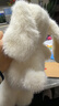 名创优品（MINISO）塔妮兔乖乖坐姿公仔兔子毛绒玩具儿童玩偶抱枕娃娃送礼生日礼物 实拍图