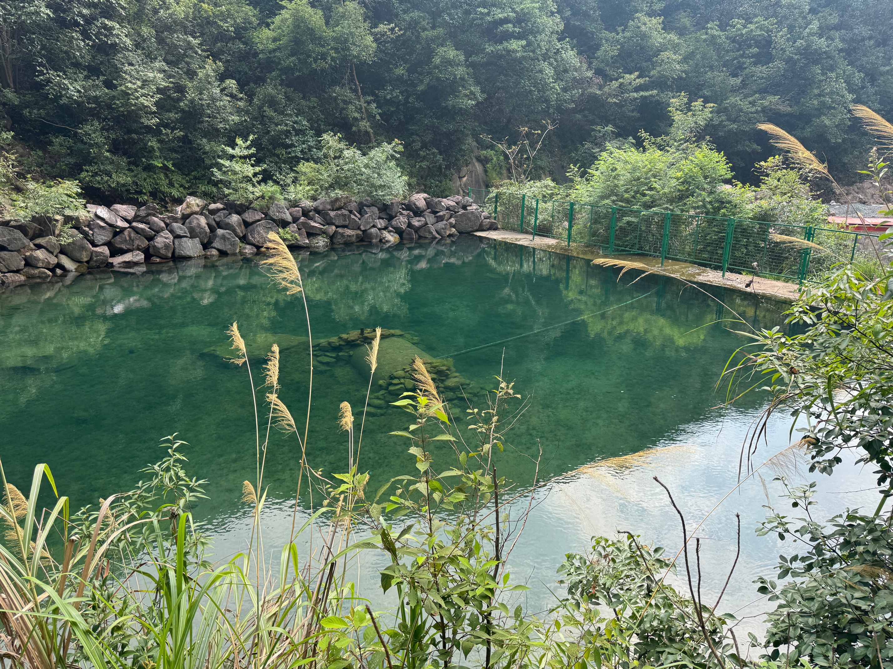 会稽山 绍兴黄酒 典雅十年青瓷双瓶礼盒 花雕酒半干型糯米酒 黄酒礼盒 500mL 2瓶 礼盒装 实拍图