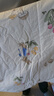 无印良品A类里外全棉夏凉被100%新疆棉花被子纯棉可机洗空调被芯200*230cm 实拍图