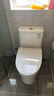 九牧（JOMOO）11173-2-1/31KD-3大力神家用马桶虹吸抗菌节水洁具305坑距 实拍图