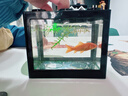 桌面鱼缸小型家用积木缸生态缸水族箱斗鱼缸带小夜灯氛围灯摆件 黑色斗鱼缸+一个灯 实拍图