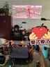 极米Z6X Pro 三色激光旗舰版 1200CVIA 家用投影仪 轻薄投影机高清一体式云台2年质保国家补贴38节礼物 实拍图