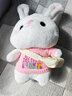 爱尚熊兔子玩偶毛绒玩具小女孩娃娃送女生生日38三八节女神礼物女友抱枕 实拍图