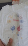 好奇（Huggies）金装拉拉裤L124片(9-14kg)尿不湿【速干不易红】 实拍图