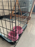 宠乐乖（CHONGLEGUAI）狗笼猫笼狗笼子中小型犬带厕所幼犬折叠便携猫笼子猫咪兔笼600ZG 实拍图