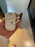 罗技（Logitech）M221 轻音鼠标 无线鼠标 办公鼠标 对称鼠标 带无线微型接收器 米白色 实拍图