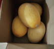 京鲜生 海南黄金哈密瓜 2粒 单果2.5斤起 净重6-8斤 生鲜水果礼盒 实拍图