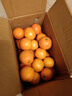 湖南麻阳冰糖橙冰糖柑果园产地直发新鲜孕妇老人水果当季60-65mm 麻阳冰糖橙带箱橙2斤装60-65mm普箱 实拍图