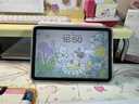 Apple/苹果 iPad mini (A17 Pro) 8.3英寸 平板电脑(512G WLAN版/mini7/MYH23CH/A)星光色 实拍图