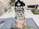 乐高（LEGO）积木建筑系列21063 新天鹅堡男女孩玩具母亲节520礼物家居摆件 实拍图