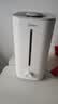 美的（Midea）【轻音除菌】大雾量加湿器 家用卧室母婴舒润保湿雾化喷雾器 办公室大面积桌面空气净化低噪加湿器 【巨雾加湿】桌面安睡级 实拍图