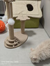 欢宠网猫抓柱猫抓板猫爬架猫玩具猫咪立式剑麻自嗨解闷神器猫猫小猫幼猫 实拍图