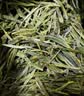 祥源茶 2026新茶春茶 黄山毛峰清香型雨前绿茶一级 茶叶盒装 100g*2盒 实拍图