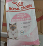 皇家幼猫猫粮 幼猫专用 K36 通用粮 4-12月 400g 实拍图