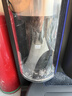 戴森（DYSON）Dyson Spot+Scrub真Ai清洁机器人 智能吸尘机器人扫地机器人 扫拖一体全自动清洗 水箱版 智能吸尘机器人 实拍图