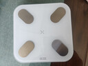 PICOOC有品智能体脂秤电子秤体重秤家用减肥高精准测人体数据脂肪称Mini母亲节礼物生日送男女友妈妈 实拍图