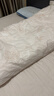京东京造100%天然新疆棉花被 纯棉空调被芯双人被子 春秋被4.6斤2x2.3m 实拍图