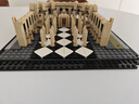 乐高（LEGO）积木建筑系列21061 巴黎圣母院男女孩玩具母亲节520礼物家居摆件 实拍图