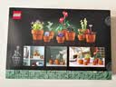 乐高（LEGO）积木10329 迷你盆栽男女孩玩具六一儿童节礼物家居装饰摆件 实拍图