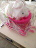 雅斯妮儿童玩具兔子电动宠物会动会叫狗毛绒女孩3-6岁仿真动物生日礼物 实拍图