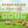 舜华干香酱板鸭湖南特产临武鸭过节送礼整鸭香辣熟食鸭肉零食小吃卤味 【炭香十足】炭烤酱板鸭350g*1袋（赠品赠完即止） 实拍图