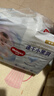 好奇（Huggies）金装拉拉裤XL96片(12-17kg)尿不湿【速干不易红】 实拍图