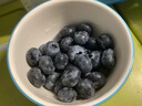 怡颗莓Driscoll's 云南蓝莓Jumbo大果18mm+12盒125g/盒新鲜水果礼盒 实拍图
