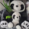 熊猫熊大熊猫毛绒玩具女孩熊猫玩偶娃娃公仔花花抱抱熊儿童毕业礼物男孩子布娃娃女生生日礼物女送女朋友同学陪睡觉抱枕仿真布偶小号创意摆件30cm 实拍图
