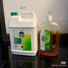 滴露（Dettol）消毒液5L大桶装消毒水家用商用工业车间酒店物业衣物环境消毒杀菌 实拍图