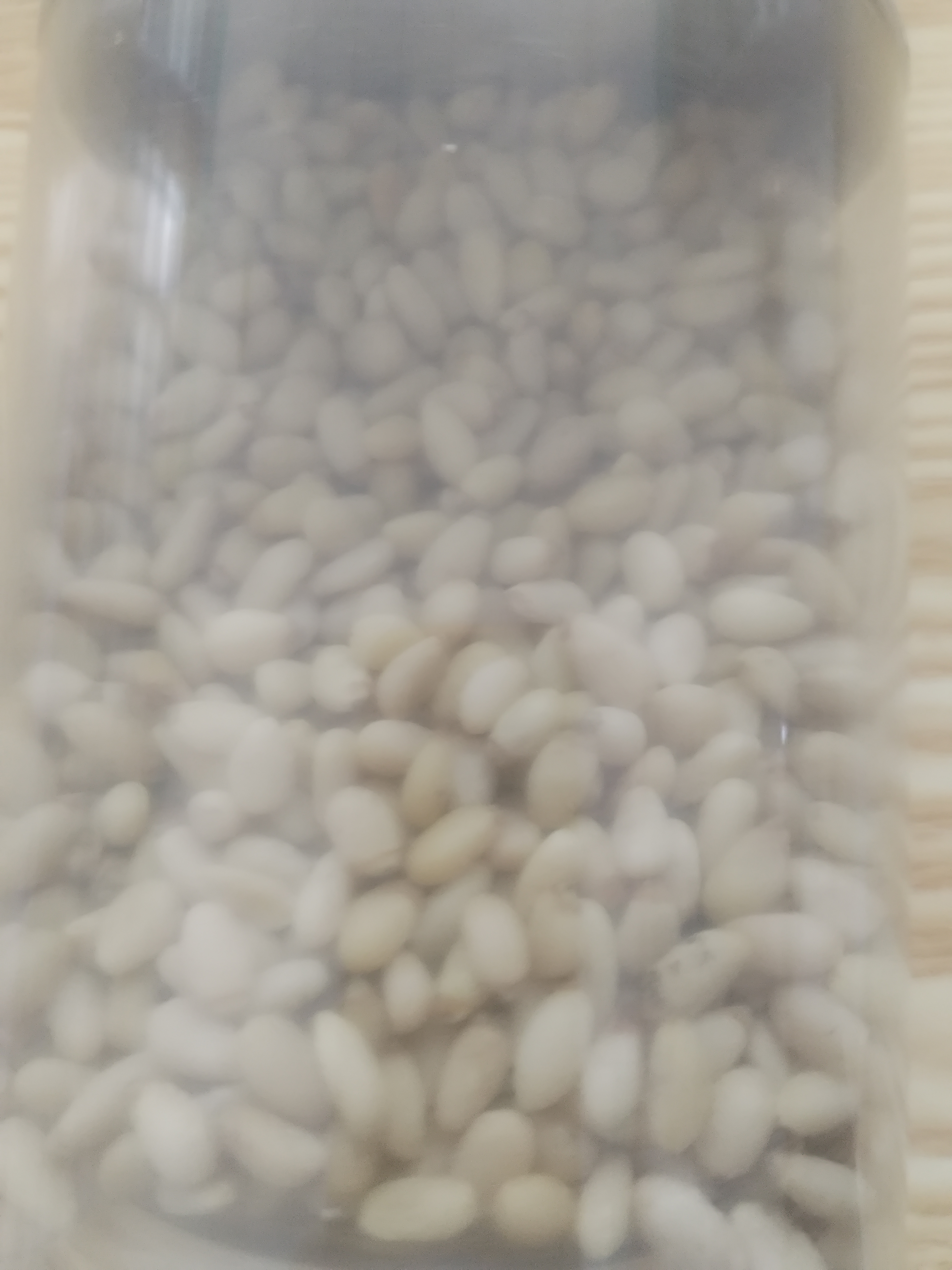 野生松子仁特大东北松仁粒即食2026新货原味红松500g烘焙 【大粒】野生生松子仁250g 实拍图