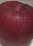 京鲜生 甘肃天水花牛苹果 又大又红 净重4斤 单果160g起 生鲜水果 实拍图
