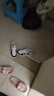 拉夏贝尔女鞋夏季新款百搭小白鞋女休闲运动板鞋子女 米卡其-B 36 实拍图