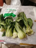 京鲜生 上海青 新鲜小油菜 600g 简装 新鲜蔬菜春节也送货 实拍图
