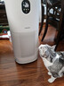 东芝（TOSHIBA）空气净化器宠物净化器大白梨PET除烟味除毛大风量除尘净化器除螨除尘除过敏源消毒杀菌家用 实拍图