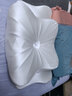零点记忆蝴蝶枕深睡护颈枕侧睡专用枕头护颈椎助睡眠蝶形记忆枕头 单只× 中高枕（冰丝绸）云绸白 实拍图