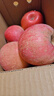 甜醉了 烟台苹果栖霞红富士新鲜水果生鲜山东特产脆甜整箱平果礼盒礼品 净重5斤75-80mm 实拍图