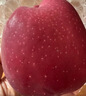 京鲜生 甘肃天水花牛苹果 又大又红 净重10斤 单果240g以上 生鲜水果 实拍图