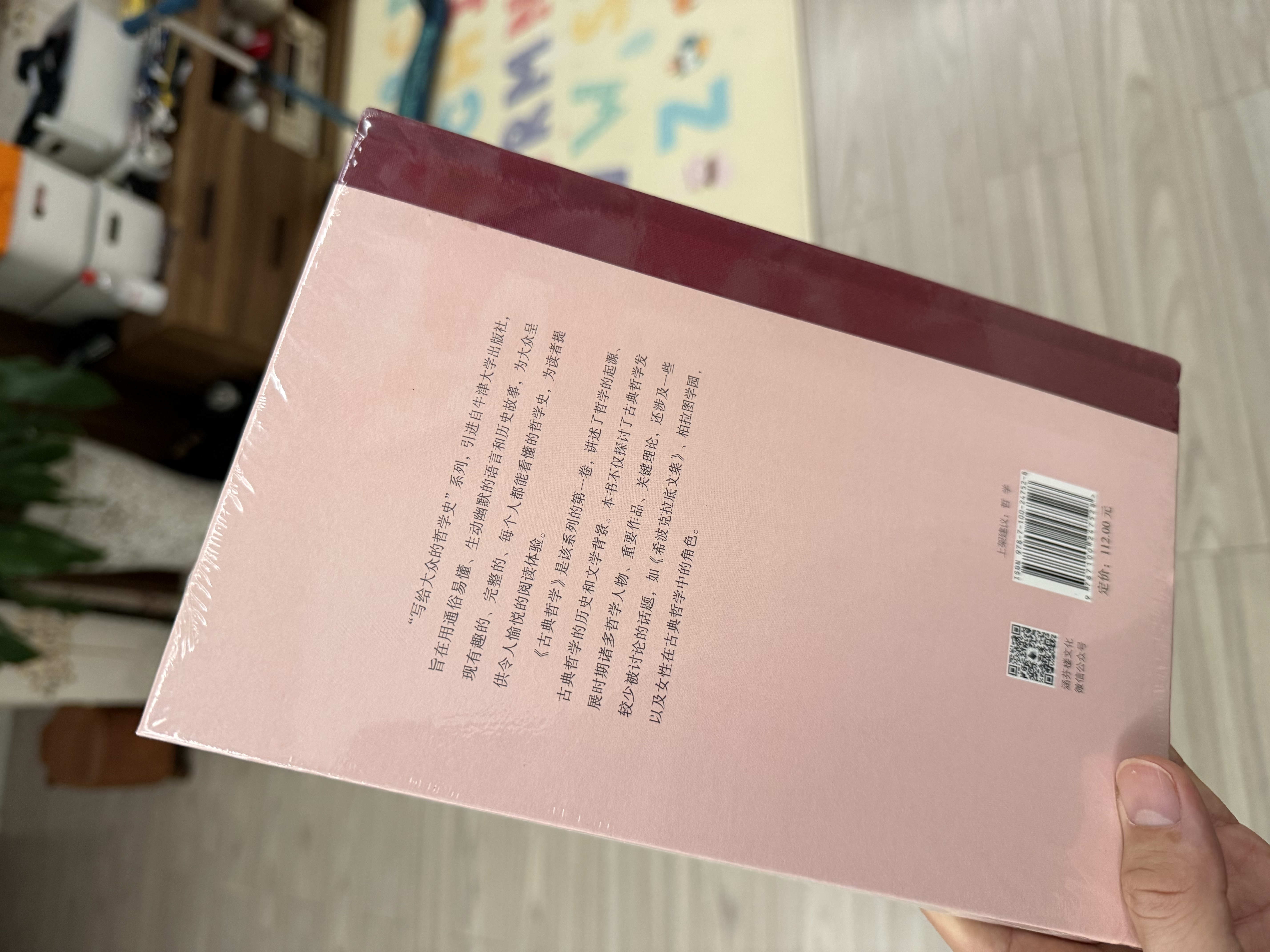 古典哲学 零基础读懂哲学史幽默通俗轻松入门 写给大众的哲学史 实拍图