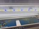 吉印刀锋s鱼缸灯led灯防水全光谱鱼缸照明灯水草灯小型超白鱼灯66cm 实拍图