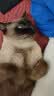 多特思猫零食猫条0添加0诱食剂防掉毛幼猫猫咪排毛鱼油罐头湿粮 【送收纳箱】高肉解馋猫条110支 实拍图