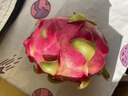 京鲜生越南进口红心火龙果 4个装 单果450-500g 水果 源头直发 一件包邮 实拍图